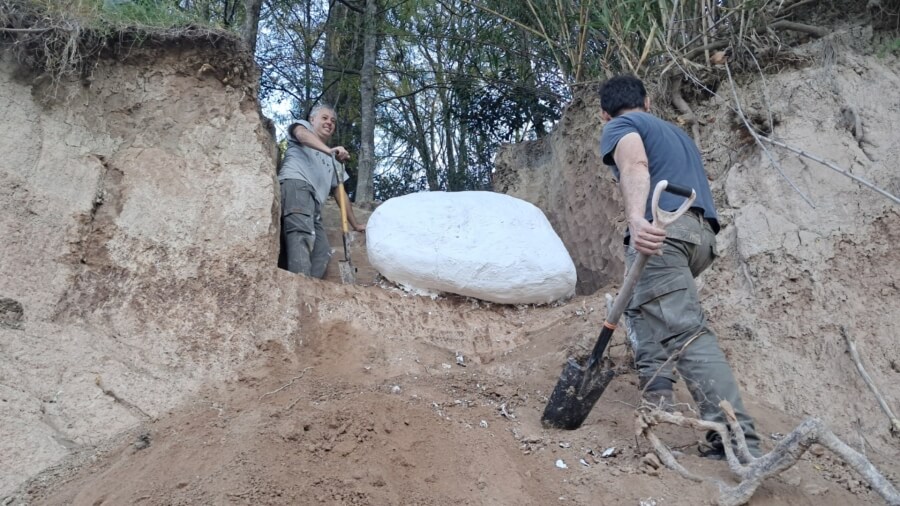 Especialistas del área de Patrimonio Arqueológico-Paleontológico del Gobierno de la Provincia realizaron un importante rescate paleontológico. Se trata de un cráneo de mastodonte