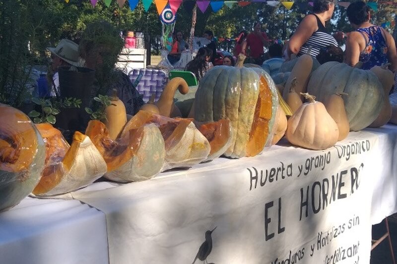 Pequeños producotores ofrecen sus productos de huerta y granja orgánicos en la feria de emprendedores en Nicanor Molinas