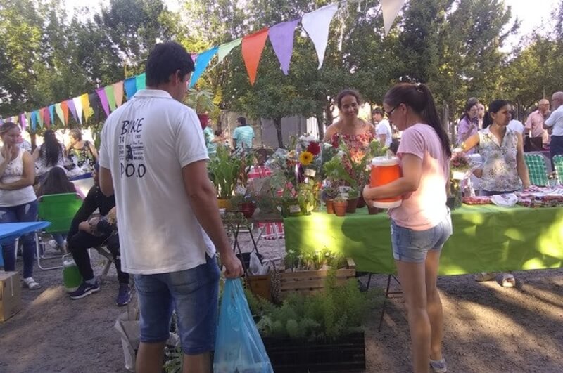 Pequeños viveristas forman parte de la oferta de la feria de emprendedores en Nicanor Molinas