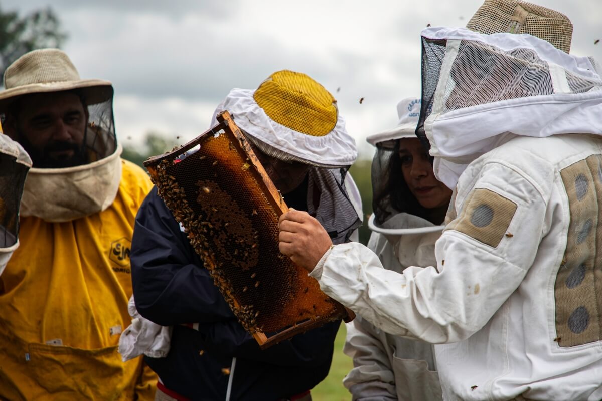 Imagenes de la 34° Jornada Apícola de Malabrigo