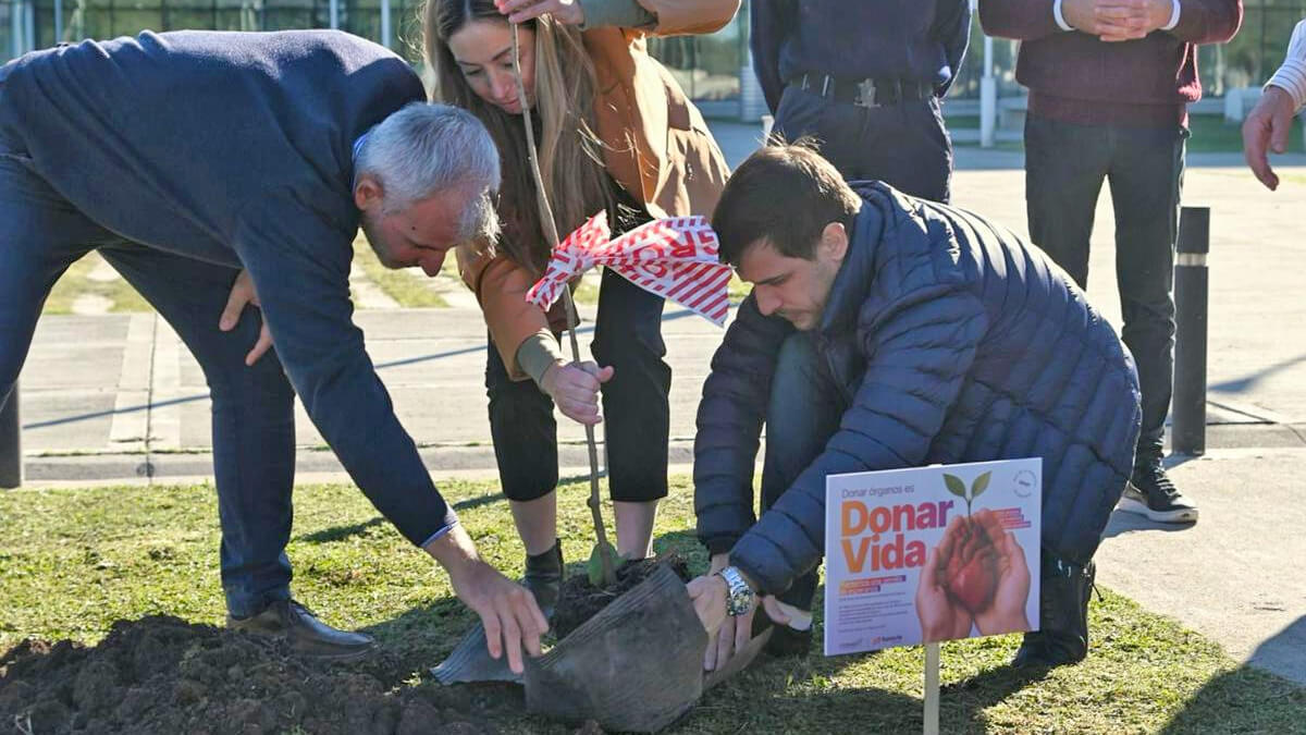 Plantación de 1.300 árboles en honor a los 1.300 santafesinos que, desde 1982, donaron sus órganos y brindaron vida a otras personas.