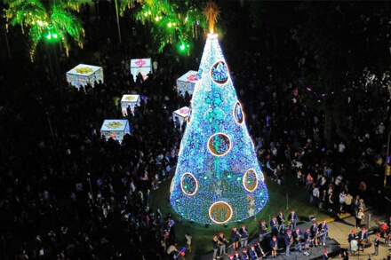Encendido del árbol de Navidad en Avellaneda 2024 con público, luces y celebración