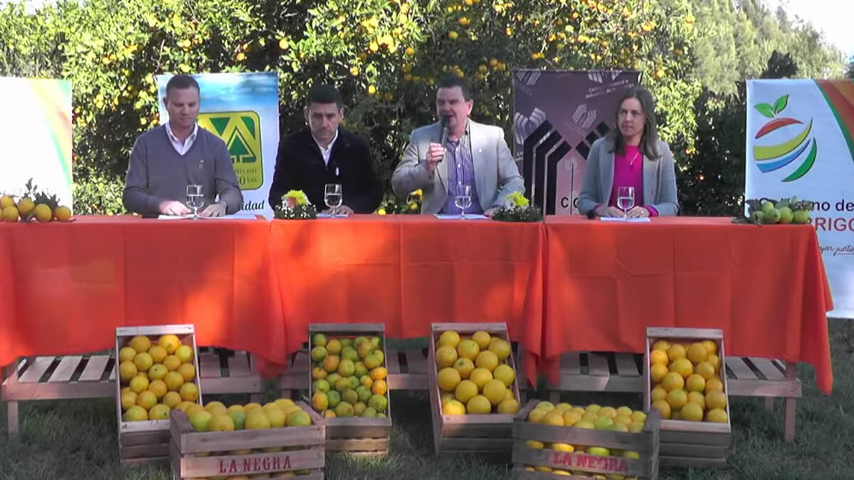 Presentación oficial de la Fiesta Provincial del Citrus 2025 en Malabrigo, encabezada por el intendente Roberto Sponton, Jorge Soto, Gabriel Zampar y Andrea Cattarozi en el establecimiento La Negra.