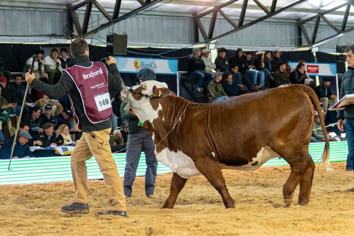 Desfile en la pista durante el primer día de la exposición ganadera Las Nacionales