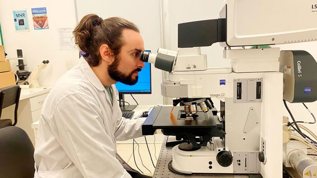 Lucas Bacigalupo, becario doctoral del CONICET, junto a otros investigadores, durante el trabajo sobre la producción de células beta para tratar la diabetes tipo 1.