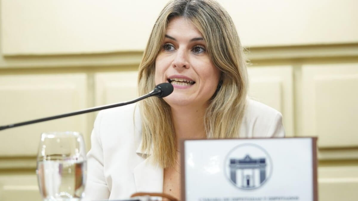 Diputada Charo Mancini exponiendo en la Cámara de Diputados de Santa Fe durante la sesión legislativa