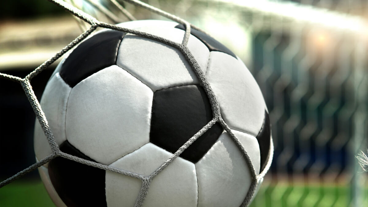 Pelota en las redes