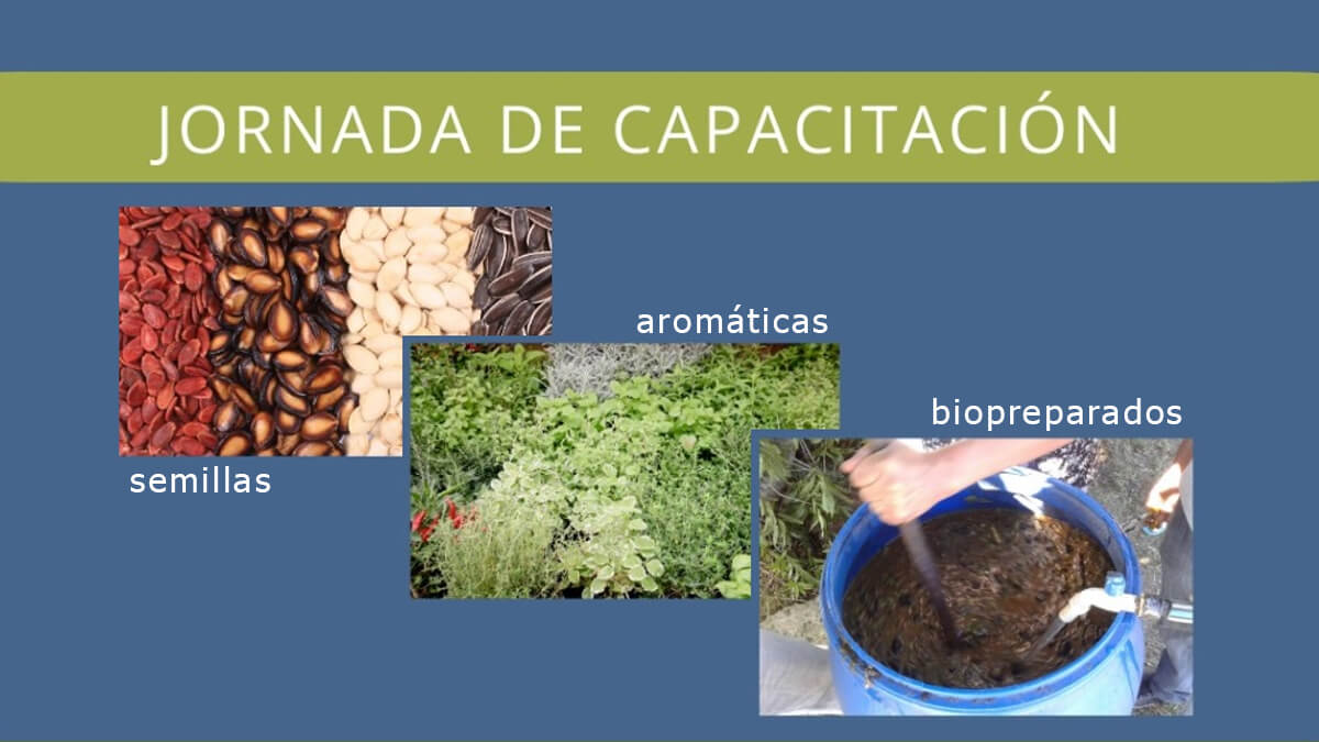 Flyer de difusión de la jornada de capacitación del INTA en Villa Ocampo.