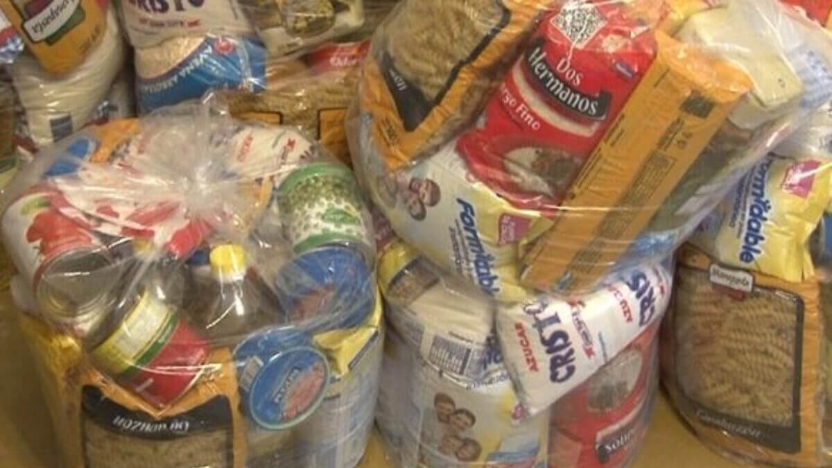 Bolsones de alimento del plan ProSoNu