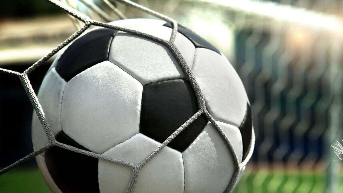 Pelota en la red