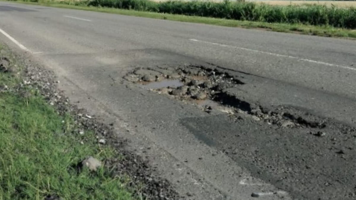 Bache visible sobre la Ruta Provincial Nº 1, tramo entre Alejandra y Romang, Santa Fe