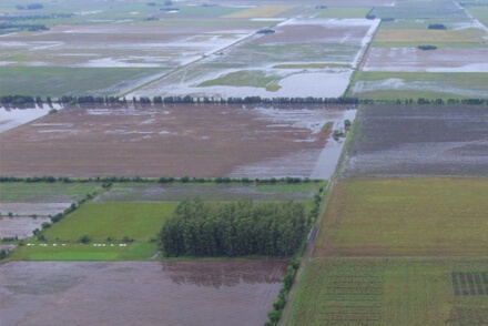 Campos santafesinos tras las lluvias