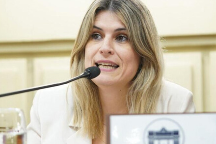 Diputado Charo Mancini
