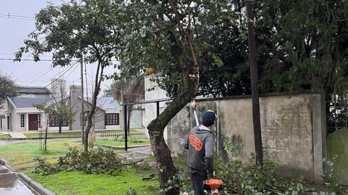 Personal municipal de Avellaneda realiza tareas de poda de árboles en barrio Don Pedro