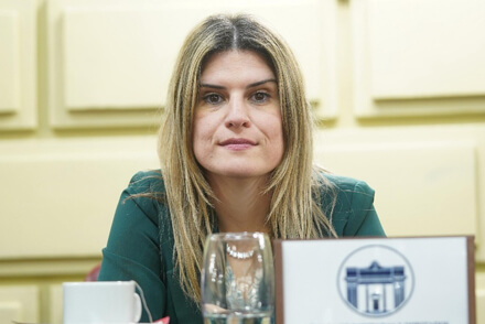 Diputado Charo Mancini
