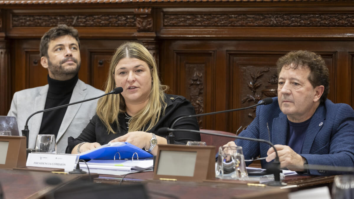 Reunión de la Comisión de Régimen Municipal de la Convención Reformadora en la Legislatura de Santa Fe