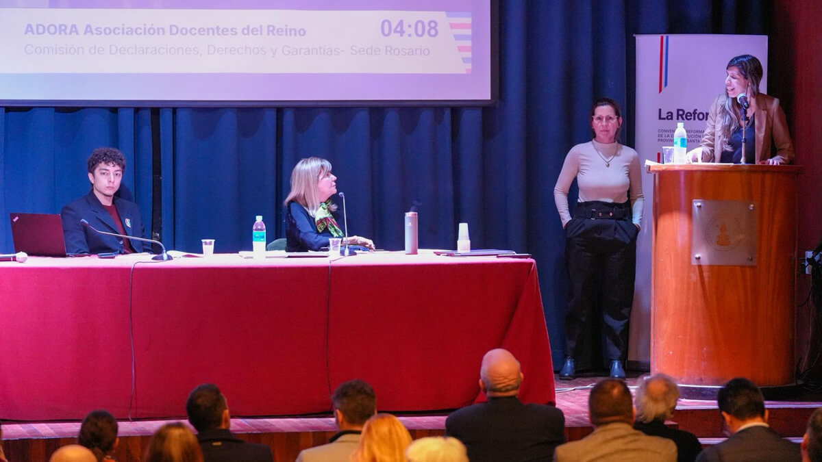 Participantes de organizaciones civiles y académicos debatiendo en la segunda audiencia pública de la Comisión de Derechos de la Convención Reformadora en el Aula Magna de Derecho UNR