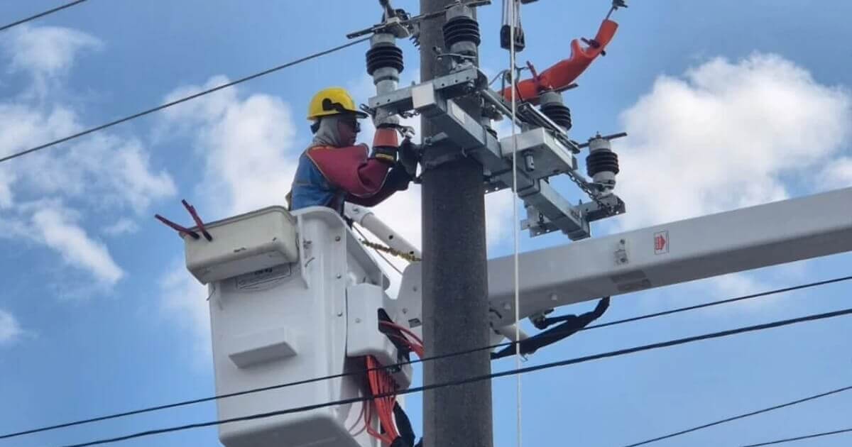 Personal de la EPE realizando trabajos en la línea de media tensión en Reconquista