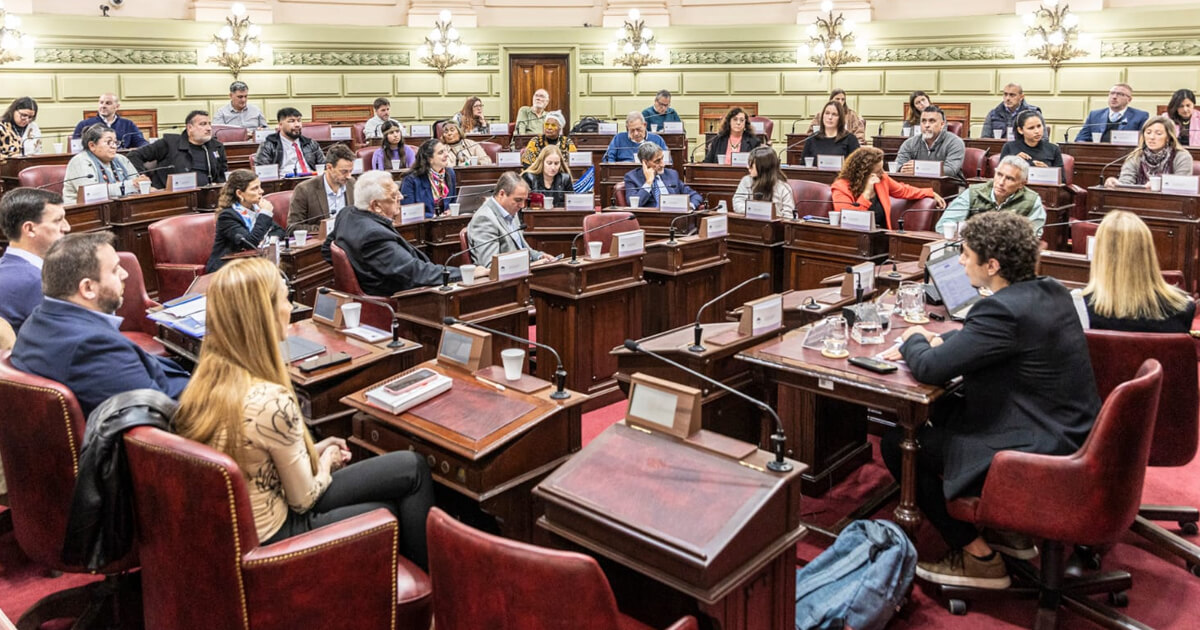 Reunión de la Comisión de Declaraciones, Derechos y Garantías durante la última audiencia pública en la Cámara de Diputadas y Diputados de Santa Fe