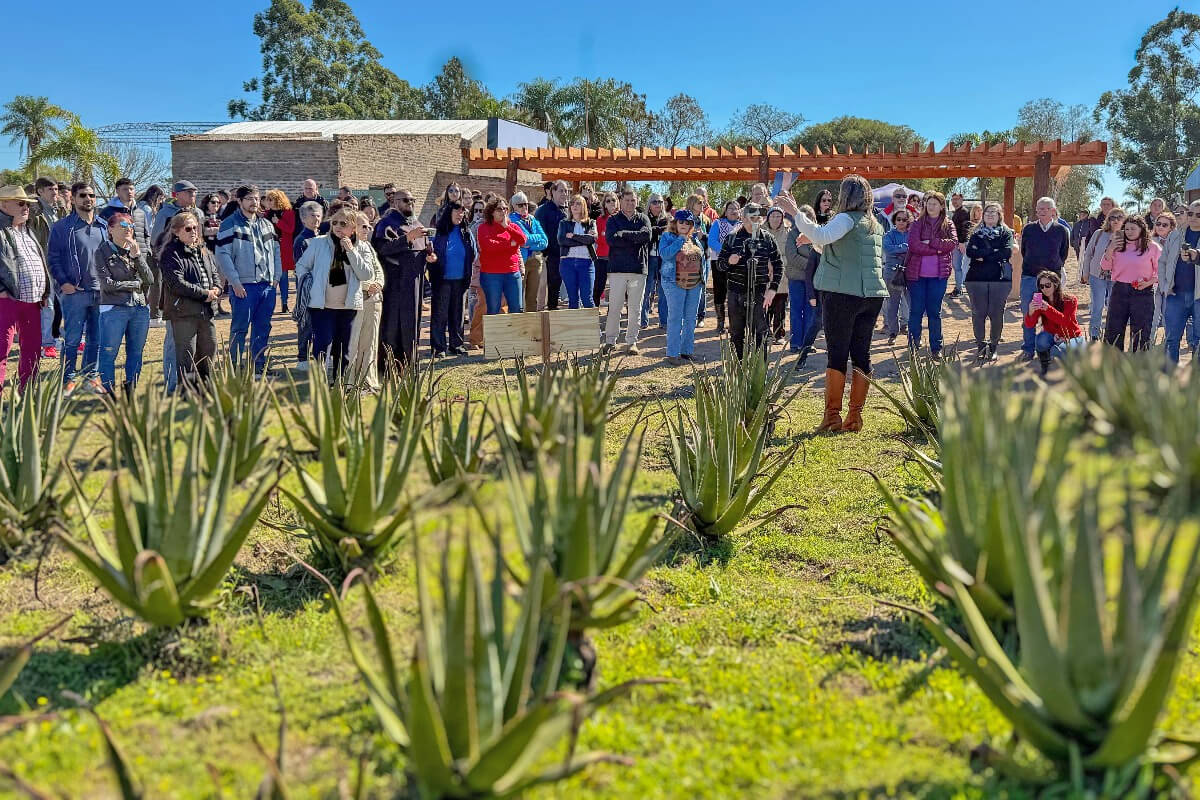 inauguración del Circuito Interpretativo Aloe Vera del Jaaukanigás en Las Toscas