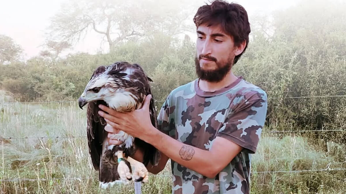 Maximiliano Churruarín junto a un Águila Coronada en actividad de conservación