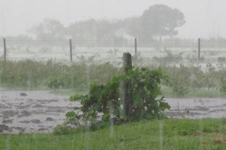 Lluvia cayendo sobre un campo en la provincia de Santa Fe