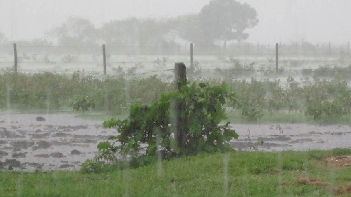 Lluvia cayendo sobre un campo en la provincia de Santa Fe