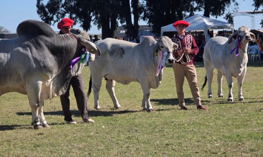 84° Exposición Rural de San Justo