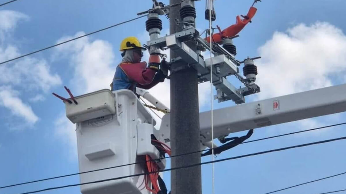 Trabajador de la EPE realizando tareas en la red de Media Tensión en Reconquista