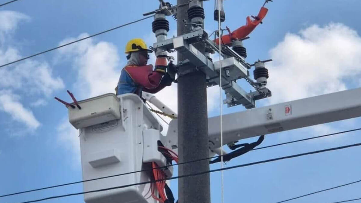 Empleado de la EPE realizando tareas en la red eléctrica de Media Tensión en Reconquista