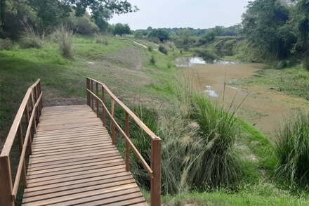 Sendero natural de la reserva Jardín Florido en Florencia, Santa Fe, paisaje protegido con biodiversidad y turismo sustentable