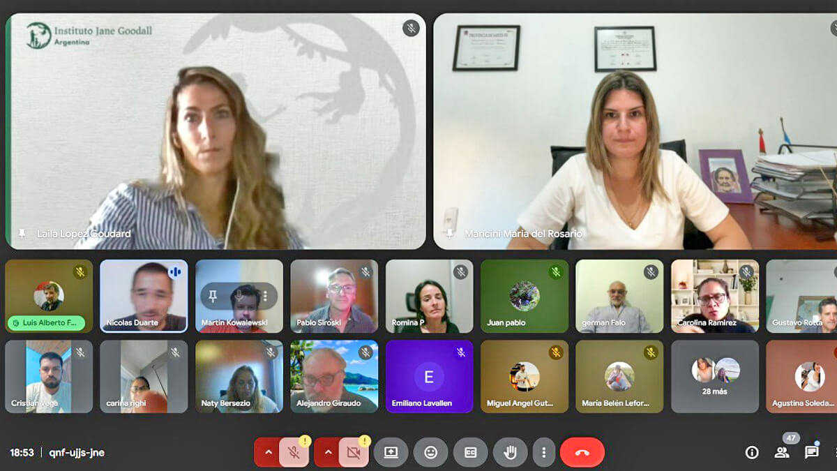 Mono Carayá durante conversatorio virtual sobre su declaración como Monumento Natural en Santa Fe