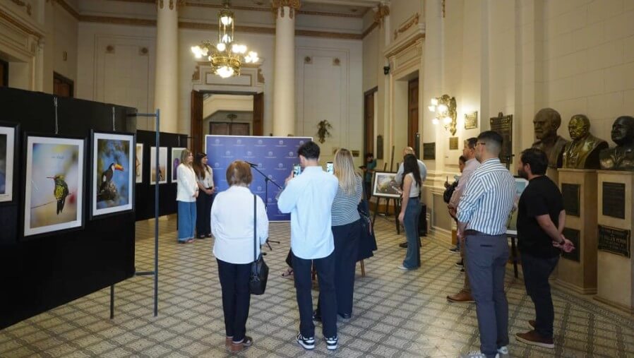 Presentación de la muestra de Natalia Ruscitti, impulsada por la diputada Charo Mancini