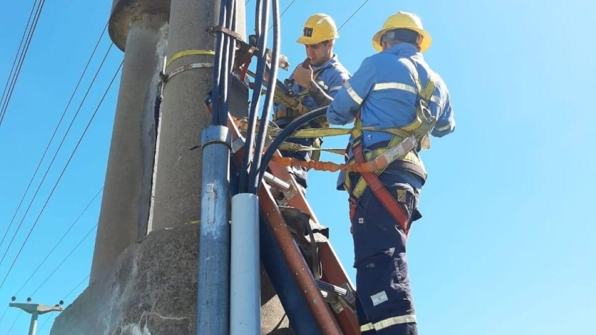 Operarios de la EPE realizando trabajos en línea eléctrica durante tareas de mantenimiento y obras de refuerzo