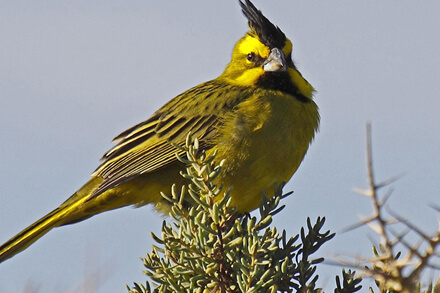 Autoridades y directivos durante el lanzamiento del Fondo para la Conservación del Patrimonio Natural en Santa Fe – convocatoria 2026