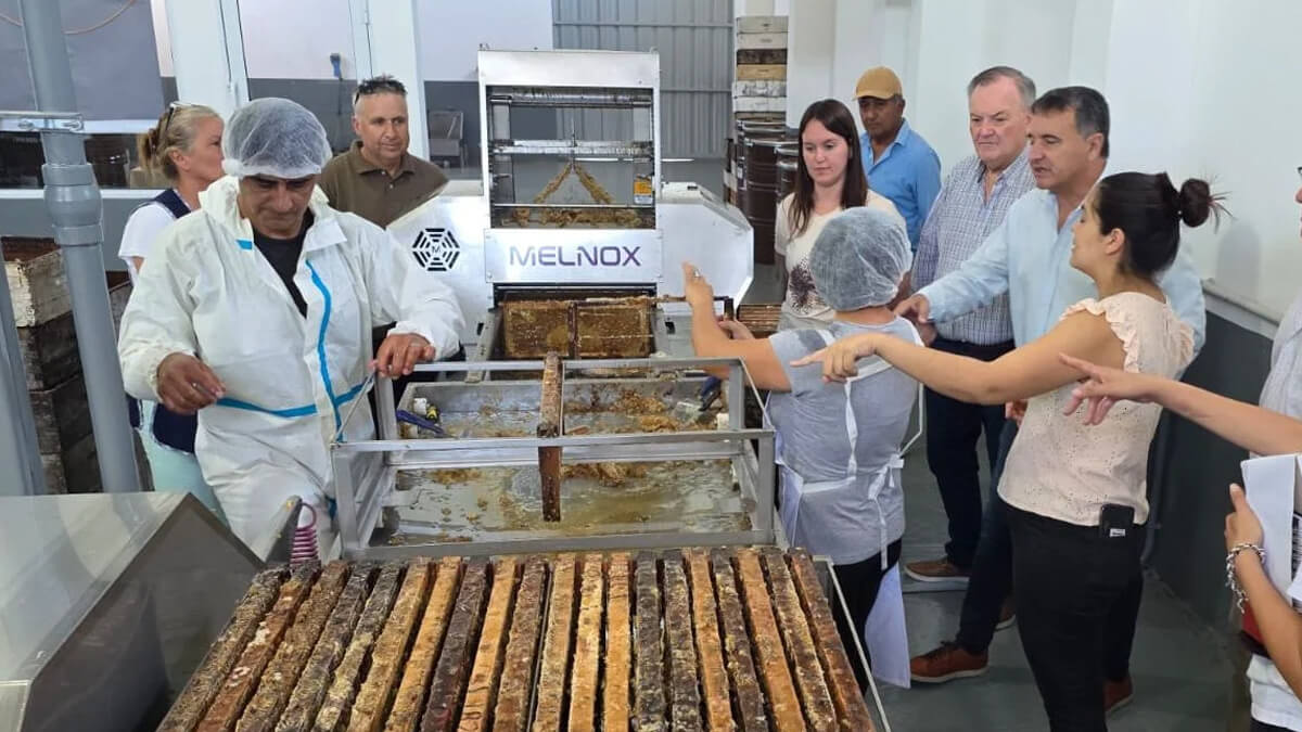 Senador Felipe Michlig recorriendo la sala de extracción de miel en Ambrosetti junto a autoridades, cooperativa de apicultores, producción apícola