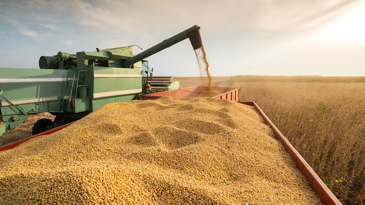 productores soja cosecha argentina reducción retenciones agro 2025