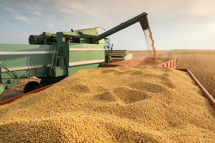 productores soja cosecha argentina reducción retenciones agro 2025