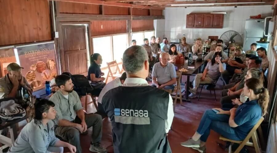 Reunión de autoridades SENASA sobre prevención del picudo rojo de las palmeras