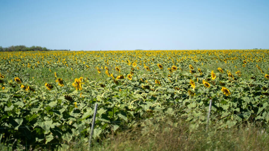 La ruta 30 atraviesa 3 departamentos, Gral. Obligado, Vera y 9 de Julio, donde se encuentra el 30% de las hectáreas agropecuarias de la provincia de Santa Fe