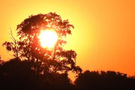 Atardecer de un día caluroso en verano, cielo naranja sobre paisaje argentino, reflejando altas temperaturas y clima cálido