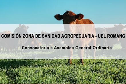 Co.Zo.S.A. UEL Romang