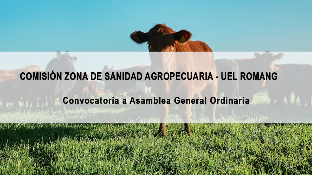 Co.Zo.S.A. UEL Romang