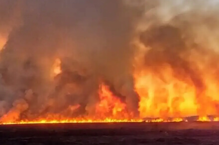 Incendio forestal afecta ecosistemas naturales y zonas productivas