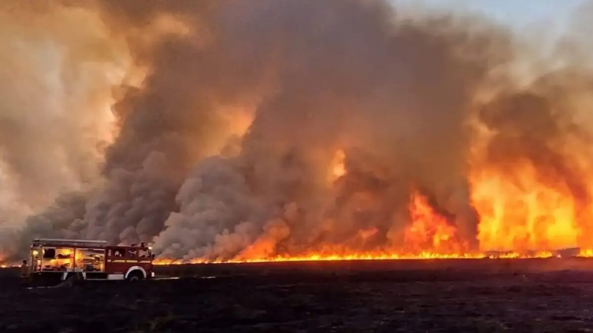 Incendio forestal afecta ecosistemas naturales y zonas productivas