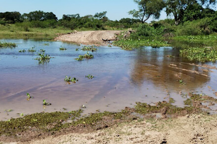 El camino para llegar al Paraná se encuentra interrumpido por la crecida de los ríos