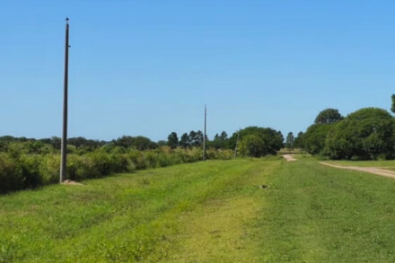 Postes del tendido eléctrico colocados en el camino de acceso al Camping Los Amores sobre el Arroyo Los Amores