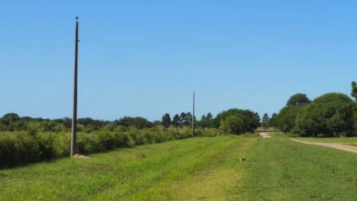Postes del tendido eléctrico colocados en el camino de acceso al Camping Los Amores sobre el Arroyo Los Amores