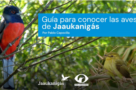 Tapa de la Guía de Aves del Jaaukanigás con fotografía de un Surucúa cola blanca