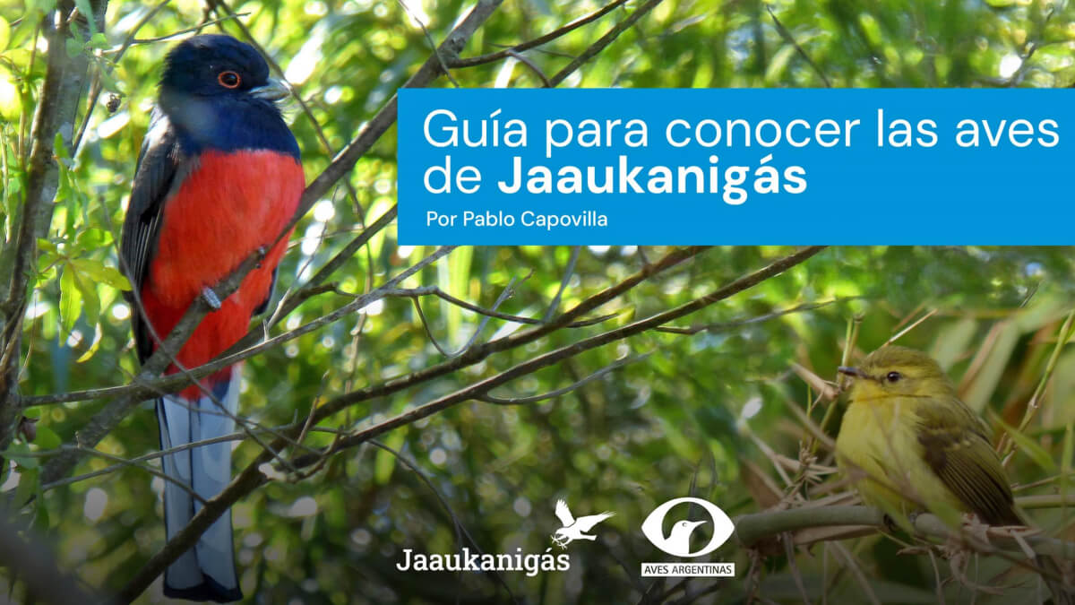 Tapa de la Guía de Aves del Jaaukanigás con fotografías de especies